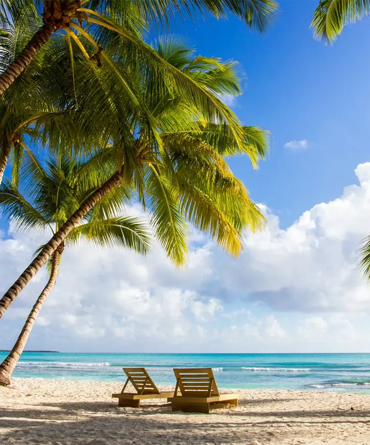 Playa de República Dominicana con palmeras
